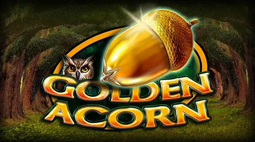 Golden Acorn - Spin City - Congo